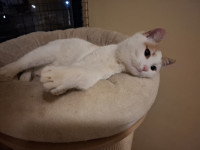 /album/113/whatsapp-image-2026-02-23-at-21-20-17-5-jpeg/